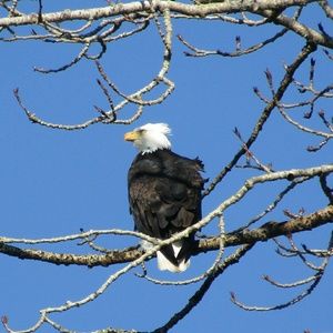 Meet your Posher, Logan